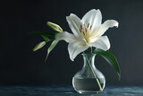 A single elegant lily stem gracefully arching out of a tall, slender glass vase.