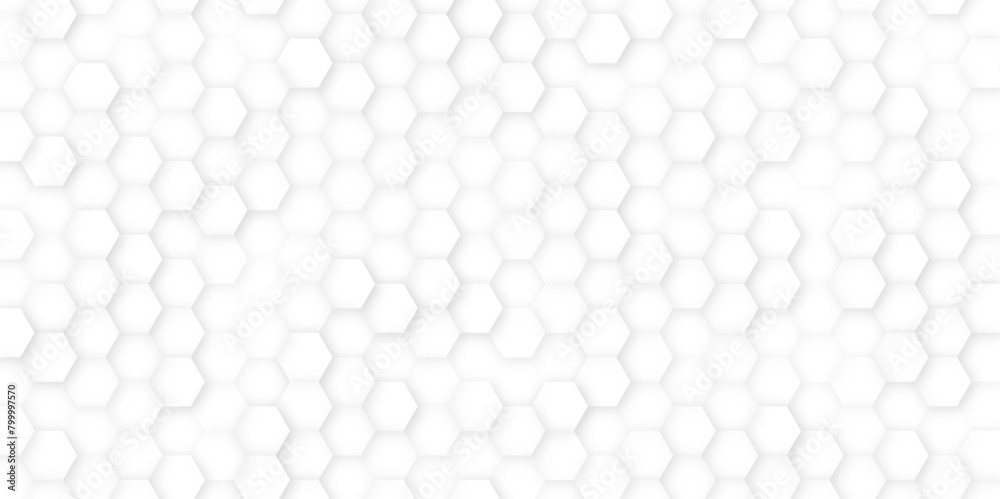 Hexagon Beehive honeycomb pattern wall black and white