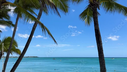 View from behind the palm trees on Trou aux biches beach, Mauritius, to the white sands and turquoise crystal waters of the Indian Ocean. The peace of being on a tropical island (ID: 799997546)