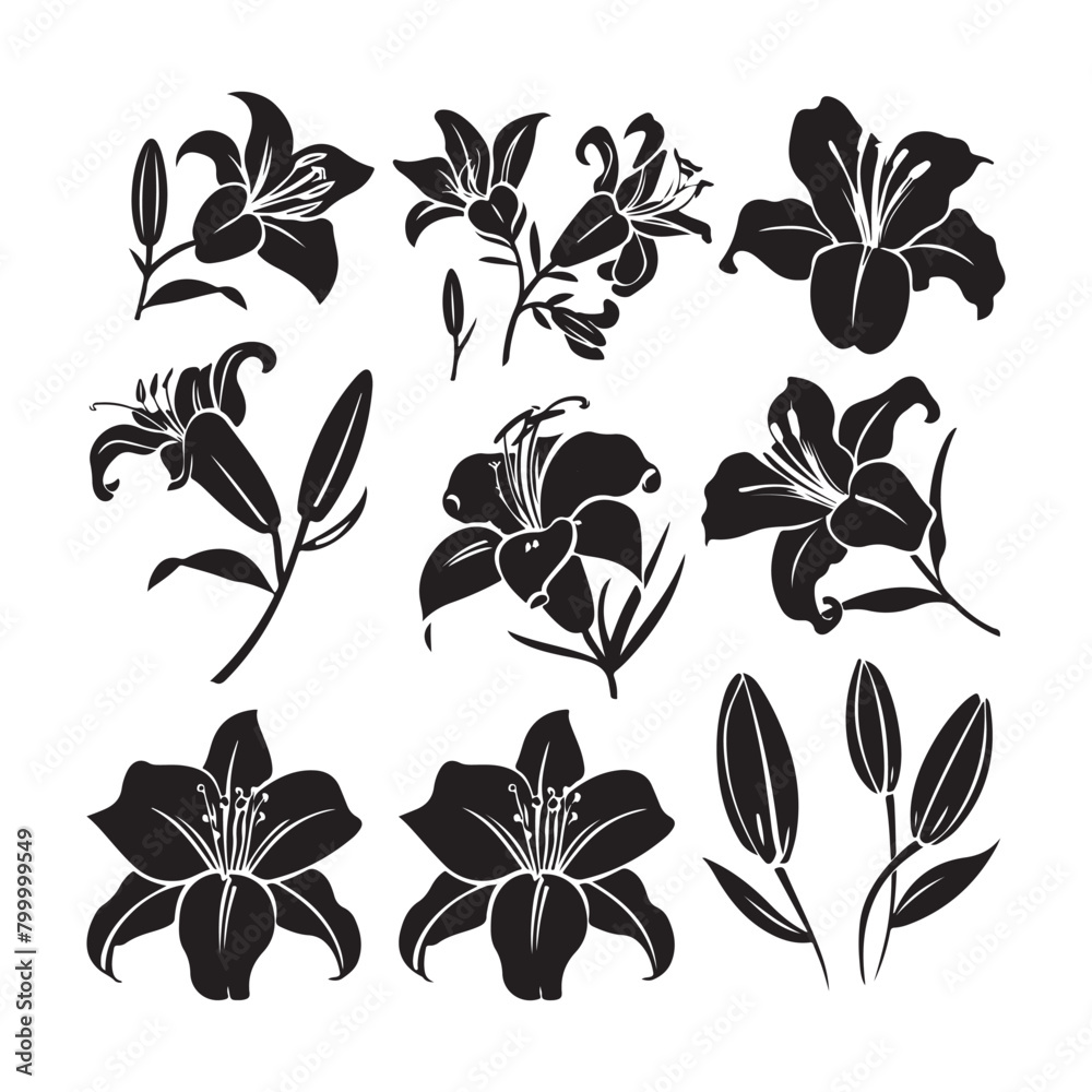 Lily flower black silhouette set Lily flower black silhouette set