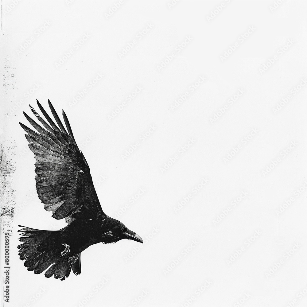 Obraz premium A solitary black raven soars through the sky, its elegant silhouette standing out against the white background