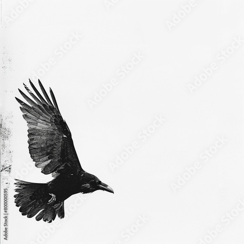 A solitary black raven soars through the sky, its elegant silhouette standing out against the white background