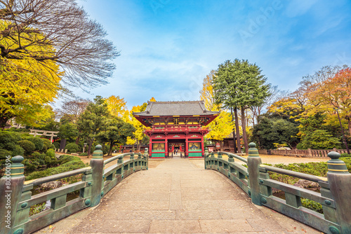 Nezu Shrine in Autumn
