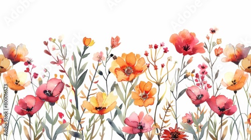Abstract pink and orange flowers  leaves and plants on a white background
