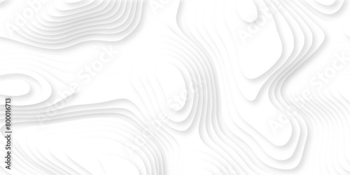 Abstract color cover. paper cut shapes. Colorful carving art. Wave blend pattern. Fluid shapes composition. design posters white background.