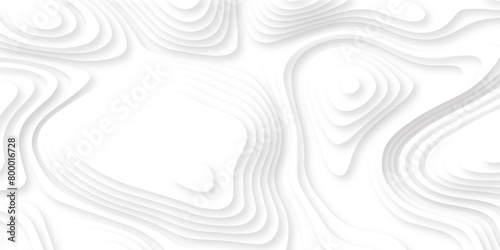 Abstract color cover. paper cut shapes. Colorful carving art. Wave blend pattern. White Abstract Wavy Paper Cut Background with Shadows, Vector. Modern Design