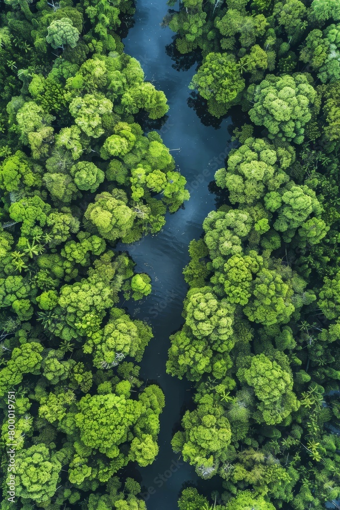 Drone view of mangrove forest capturing co2 for carbon neutrality and net zero emissions concept