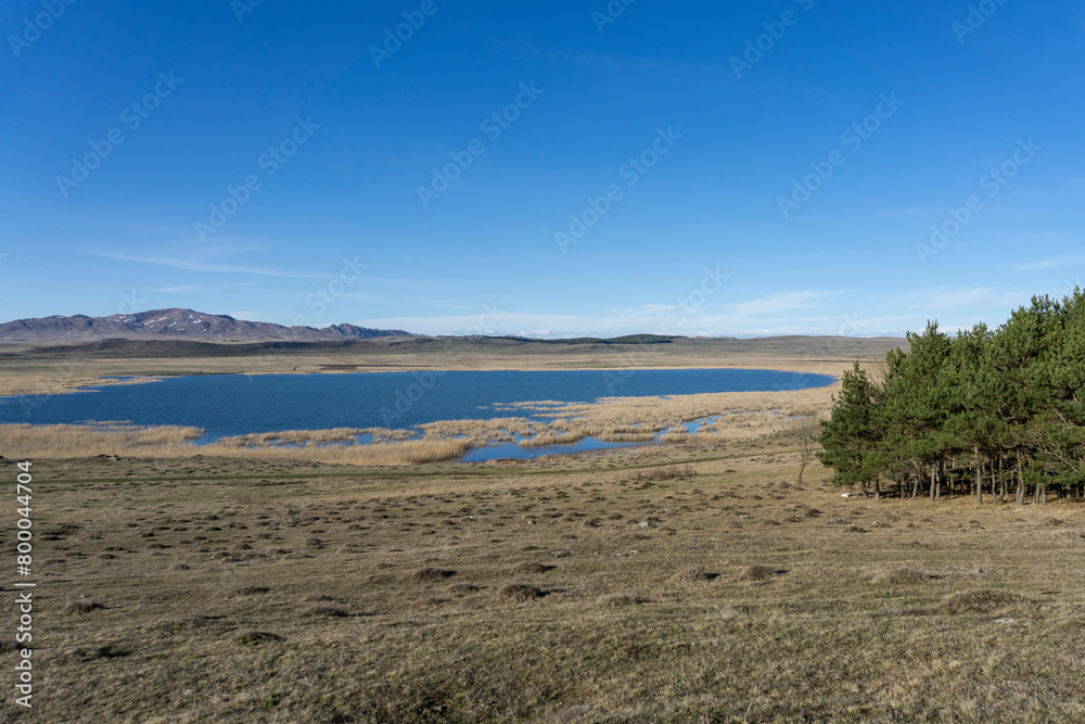 Lake with clear water. Edge of a coniferous forest. Mountains and agricultural fields