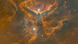 Stunning phoenix-like nebula lights up the cosmic landscape in vibrant orange and gold hues