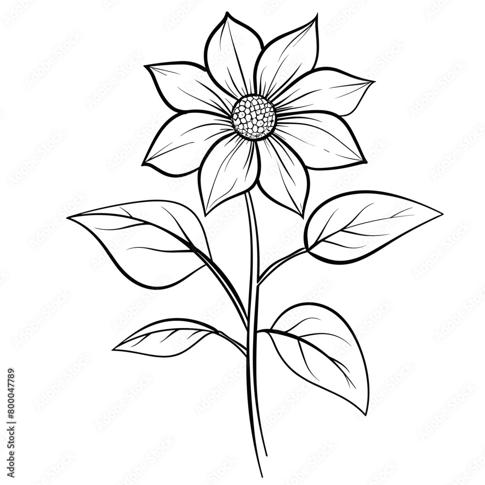 botanical illustration of a single flower with detailed petals and veins