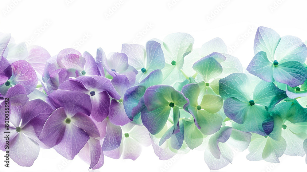 Abstract Purple and Green Hydrangea Painting Abstract Purple and Green Hydrangea Painting