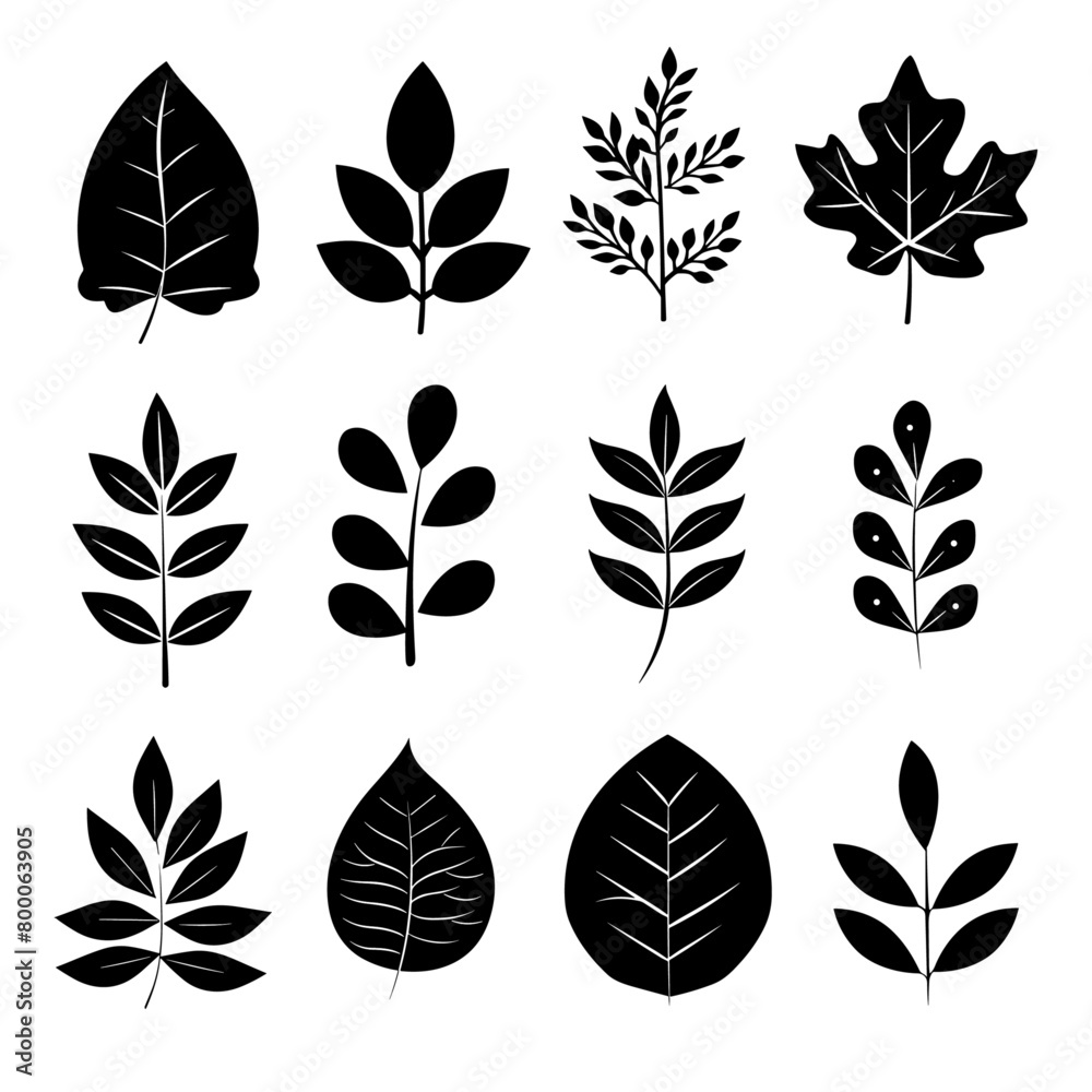 Black and white pressed leaves showcasing the intricate veining patterns Black and white pressed leaves showcasing the intricate veining patterns