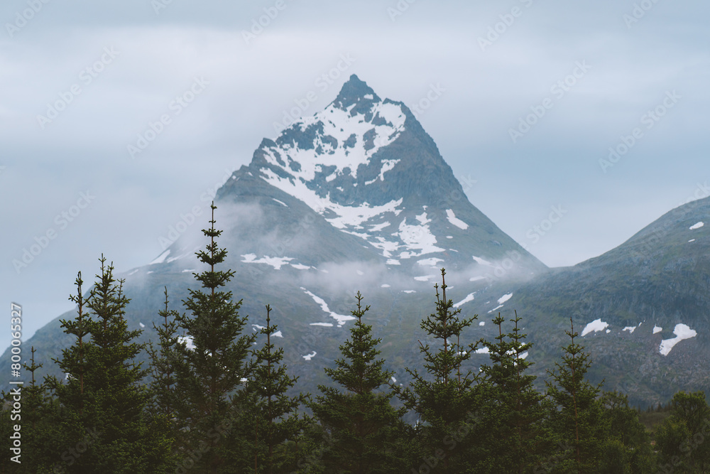 Mountain peak and coniferous forest landscape in northern Norway scandinavian nature moody scenery beautiful travel destinations