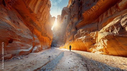 Petra Siq, narrow canyon entrance photo