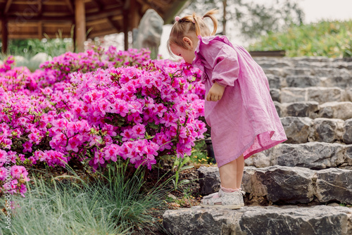 Child girl in blooming summer garden smells a pink flowers. © artifirsov