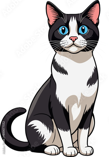 simpatico gattino 01