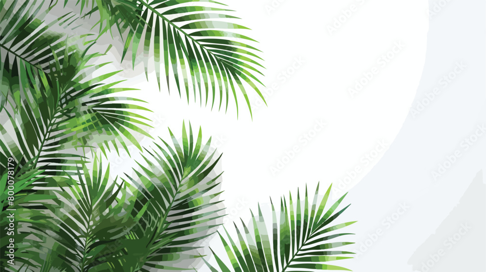 Fresh tropical palm leaf on white background Vector