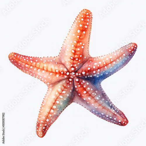 Watercolor Popular Starfish, clipart Illustration, Generative Ai