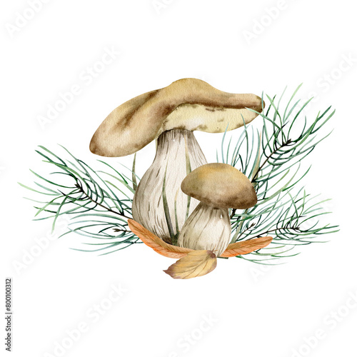 Bild auf Leinwand Autumn mushroom watercolor composition with pine tree branches and colorful leaves