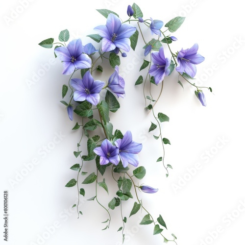 3d illustration border of plant purple campanula isolated on white background 