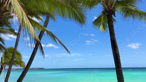 Magnificent turquoise through palm trees on Trou aux biches beach on tropical island Mauritius (ID: 800113526)