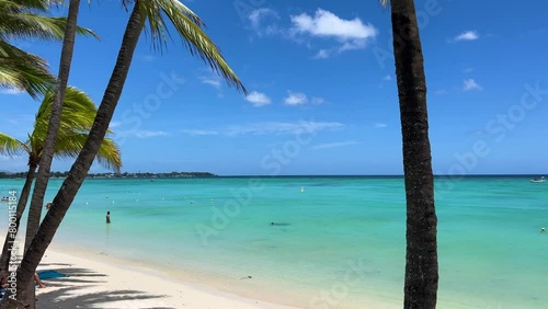 Magnificent turquoise through palm trees on Trou aux biches beach on tropical island Mauritius (ID: 800115184)