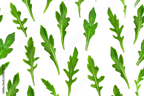 Seamless pattern of fresh arugula or rucola salad leaves isolated on white background. Healthy food concept