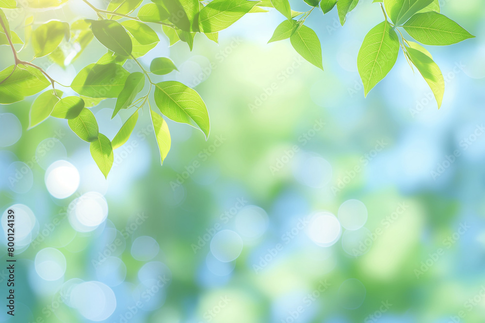 Spring background with blurred green leaves and bokeh light effect, representing a spring nature concept Spring background with blurred green leaves and bokeh light effect, representing a spring nature concept