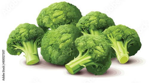 Many fresh broccoli cabbages on white background Vector