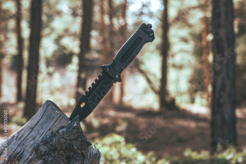 Fényképezés Knife in the forest. The concept of survival and survival.