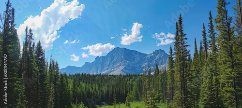 Clear sky by mountain and extensive tree forest banner