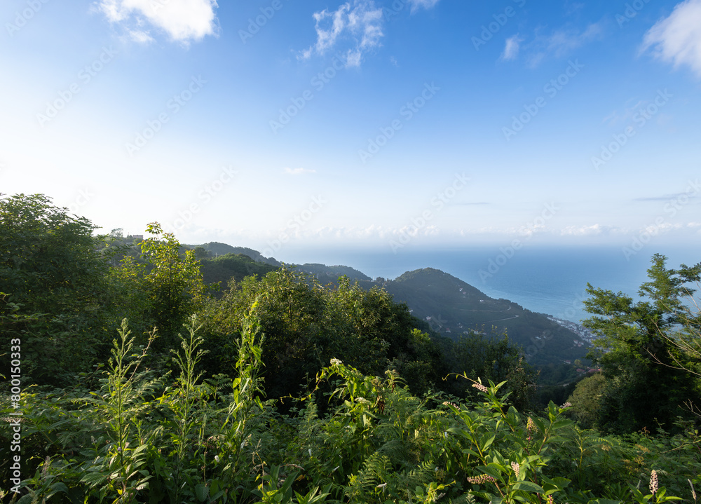 Obraz premium The view of the horizon of Black Sea and the green trees at the mountains from Boztepe, Ordu