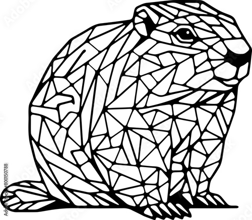 Animal mandala castor ragondin dessin animé style cartoon pour page ou livre de coloriage pour enfant. Isolé du fond, dessin au trait noir totalement transparent et prêt a colorier et ajuster