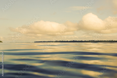Negro River, Amazon Rainforrest Brazil