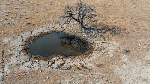 Barren savanna landscape with a lone leafless tree over a waterhole reflecting its form, Concept of solitude, survival, and climate impact