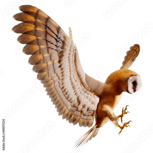 3D Rendering Fantasy Owl on White photo