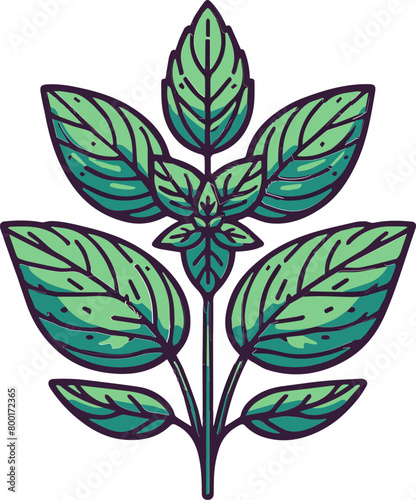 A simple illustration of a basil plant
