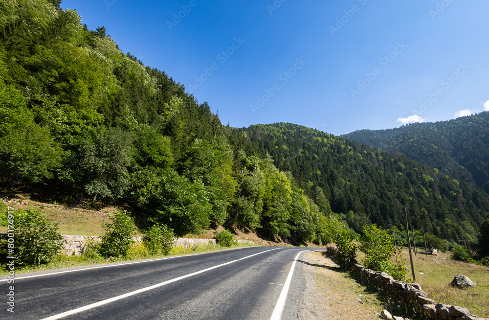 An asphalt road through the mountains and the forest for purpose of web and design use