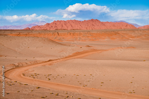 A dirt road in a red desert landscape