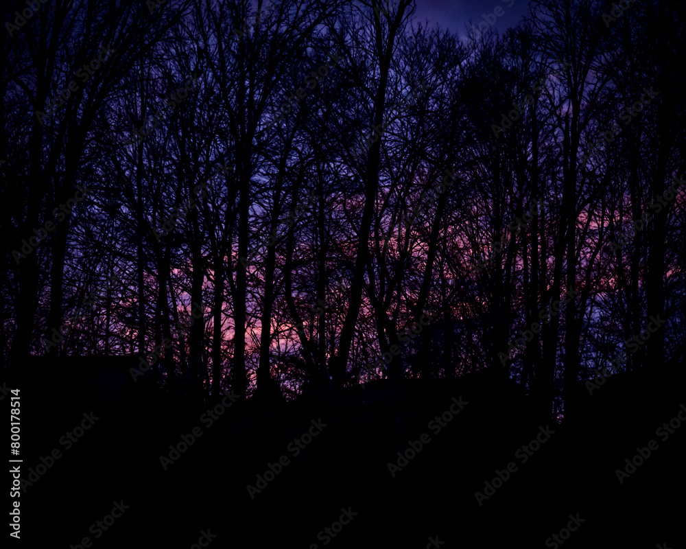 sunset sunset
