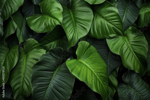 Lush tropical leaves with deep greens  ideal for a vibrant  naturefocused background