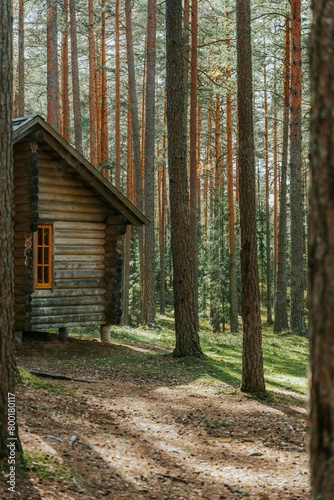 wooden house in the forest