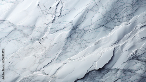 Wallpaper Mural Seamless Painted White Color With Black Veins Marbled Stone Texture Background Torontodigital.ca