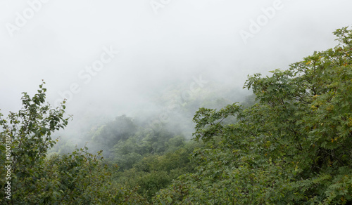 Mountains in a heavy fog