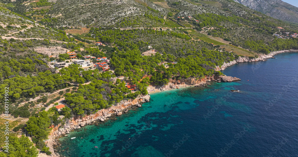 AERIAL: Small beach of remote seafront houses is hidden under the pine trees.