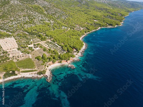 Fototapeta Naklejka Na Ścianę i Meble -  AERIAL: Flying above the rugged rocky coastline of Hvar with terraced fields.