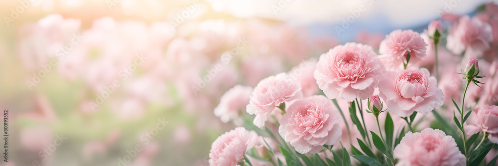 A bouquet of soft pink carnations surrounded by greenery, pastel a blurred white background.