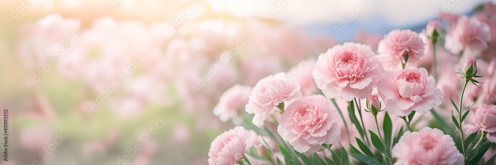 A bouquet of soft pink carnations surrounded by greenery, pastel a blurred white background. A bouquet of soft pink carnations surrounded by greenery, pastel a blurred white background.