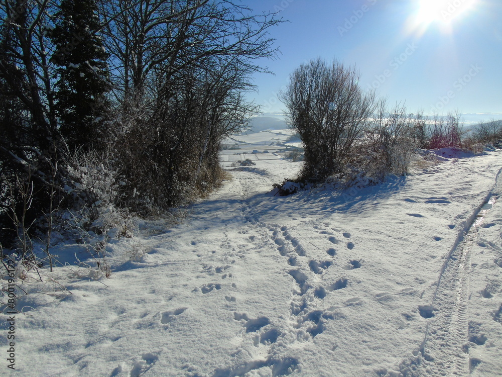 Obraz premium Chemin de montagne enneigé.