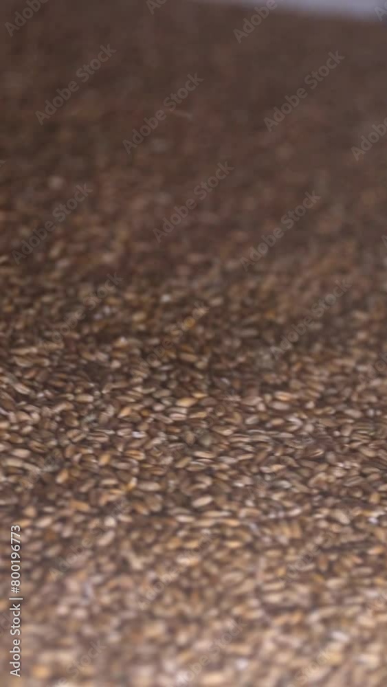 Vertical video. Mill complex. Industrial processing of wheat grains. Cleaning for further storage. Movement on a conveyor belt. Vertical video. Mill complex. Industrial processing of wheat grains. Cleaning for further storage. Movement on a conveyor belt.
